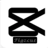 tigz961