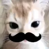 embedthwvai