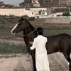 shahzaib_______mia