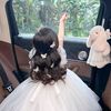 momni497