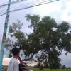 mark.angelo.v..fe