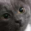shikshok82