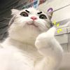 mrrdudu_966