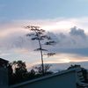 rang_1410