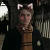 cedric_diggory217