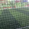 brandon_2345_