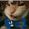 jaywalker__4ever