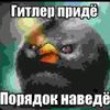 fedorik40