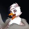 SamSeagul22