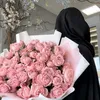 rafahia_
