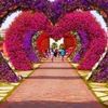 dorra_die_exlora23