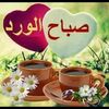 user35734990459052