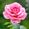 salina_967