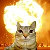 boomkitty._.1488