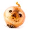 onion_seal