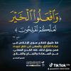 user9251184373330