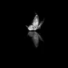 sh_1iii2007