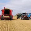 elmehrimg13254