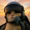 su5700000.....ruusi