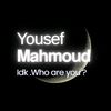 yousefmahmoud6120