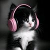 user124814658020
