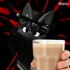 mati_furry_488