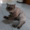 liliarosa7777