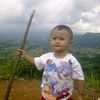 user66128158195775