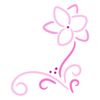 raeinydeals