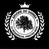 arvoredosamba