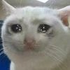 cryingkittythrfit