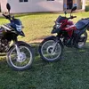 angeloprime5