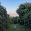 ..stella11
