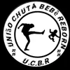 arthurbriquicinha