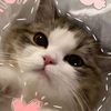 amelput__