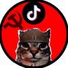 gatito_explicador
