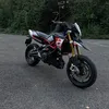 dorso900