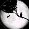 user8508470211685