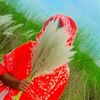 mimrm.akhte
