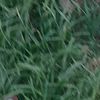 derek_1113
