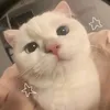 _randomperson_33