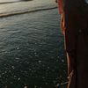 inaaa_786