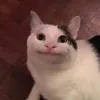 fran_9712