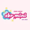 sbr_minishop