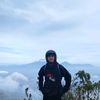 wldnhq_123