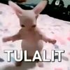 ttomoeeeeeeee