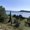 patricia_bella33