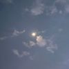 Moon🌙