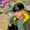 shahnawz3114