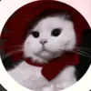 kayla_isnotu4s